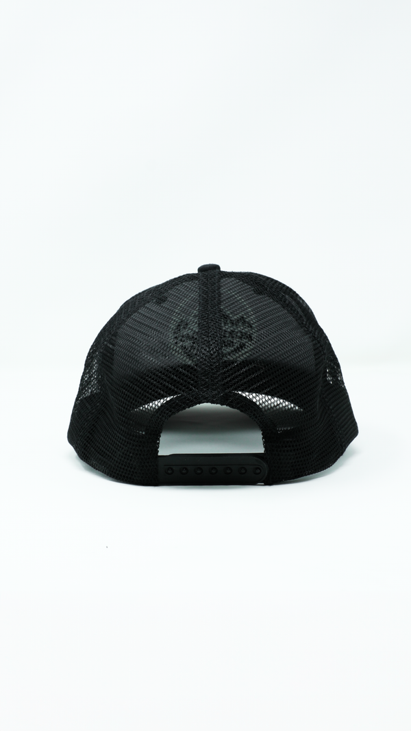 North Roast Snapback Ball Cap